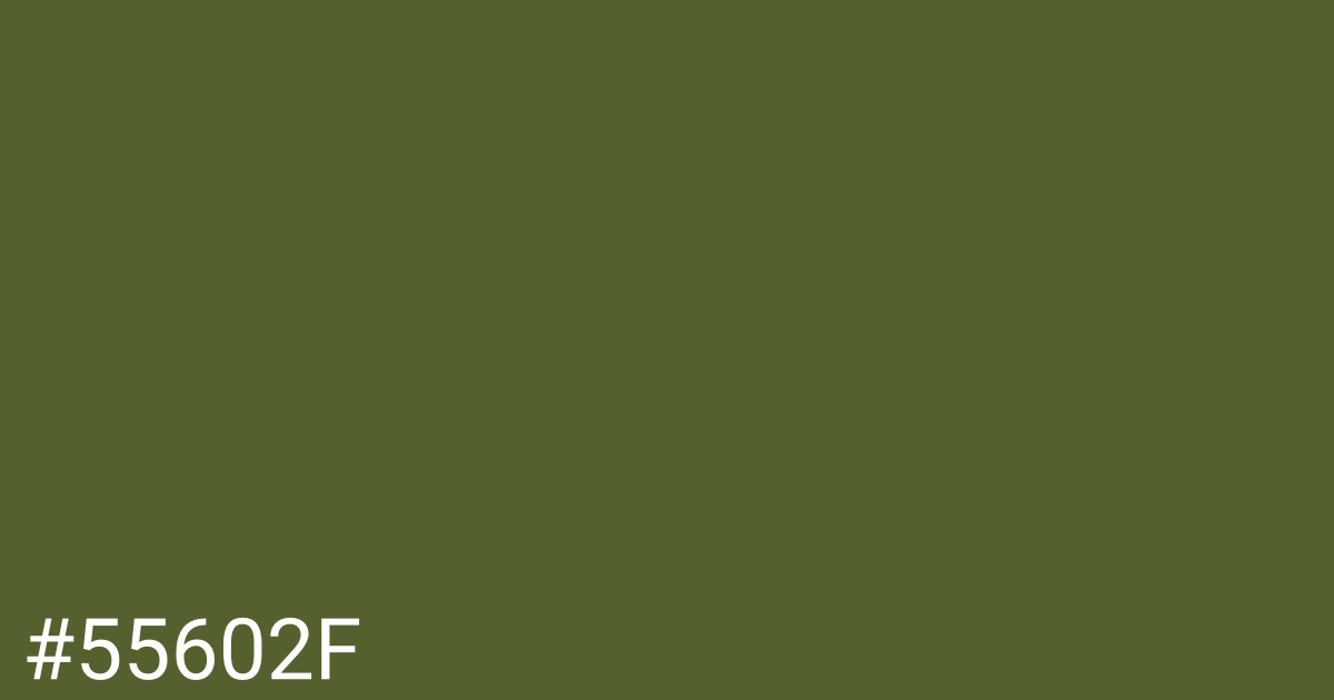 Hex color #55602f graphic