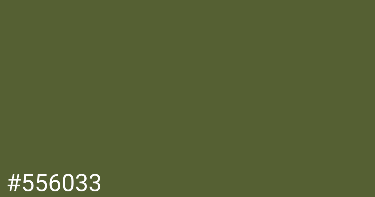 Hex color #556033 graphic