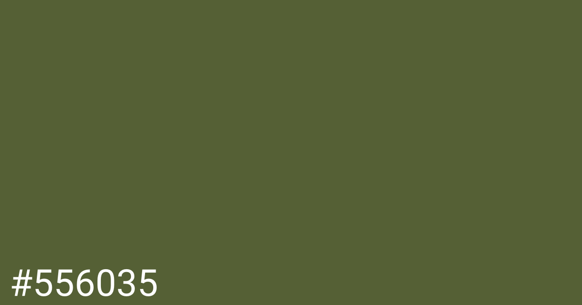 Hex color #556035 graphic