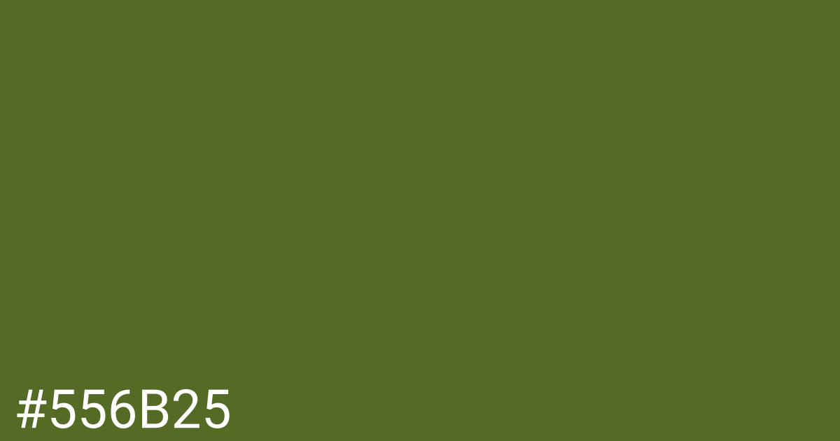 Hex color #556b25 graphic