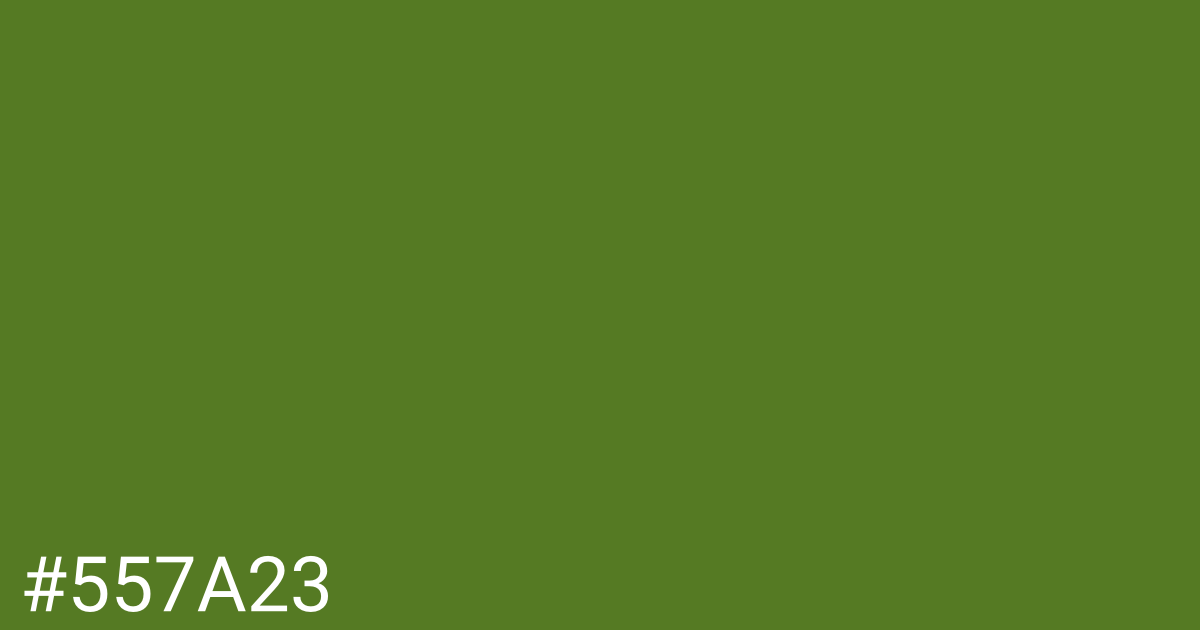 Hex color #557a23 graphic