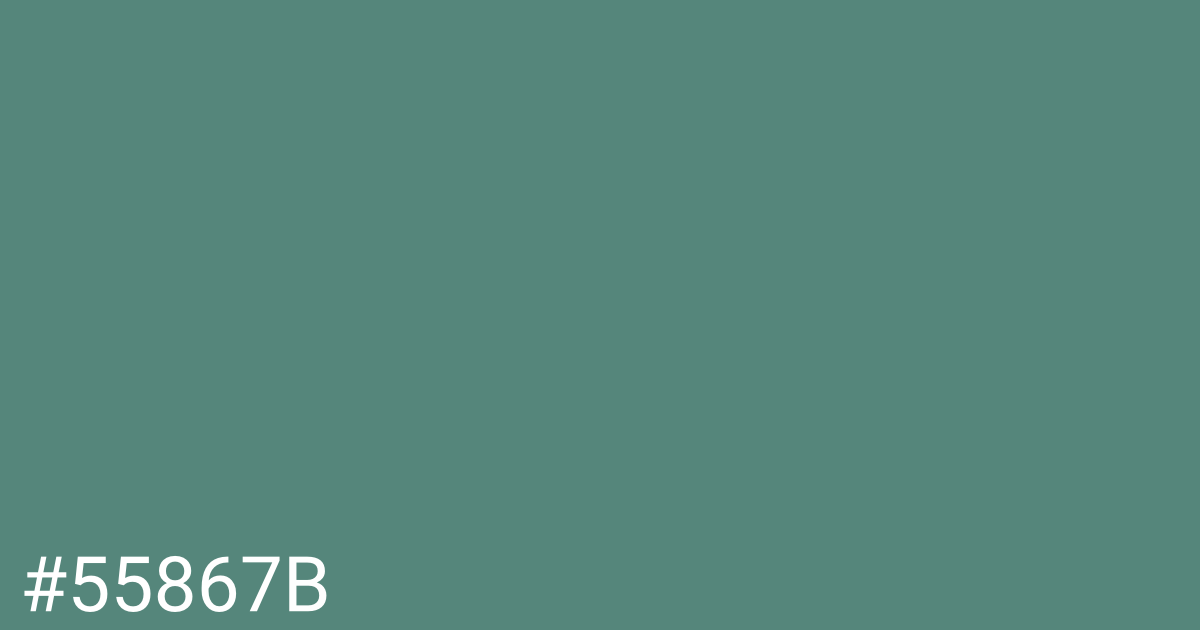 Hex color #55867b graphic