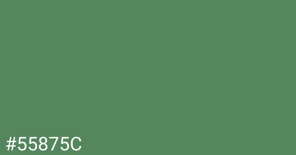 Hex color #55875c graphic