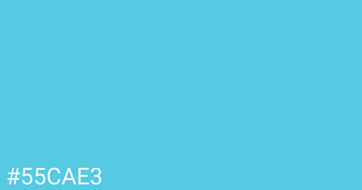 Hex color #55cae3 graphic