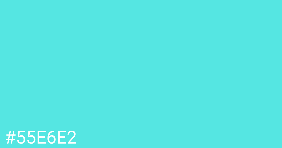 Hex color #55e6e2 graphic