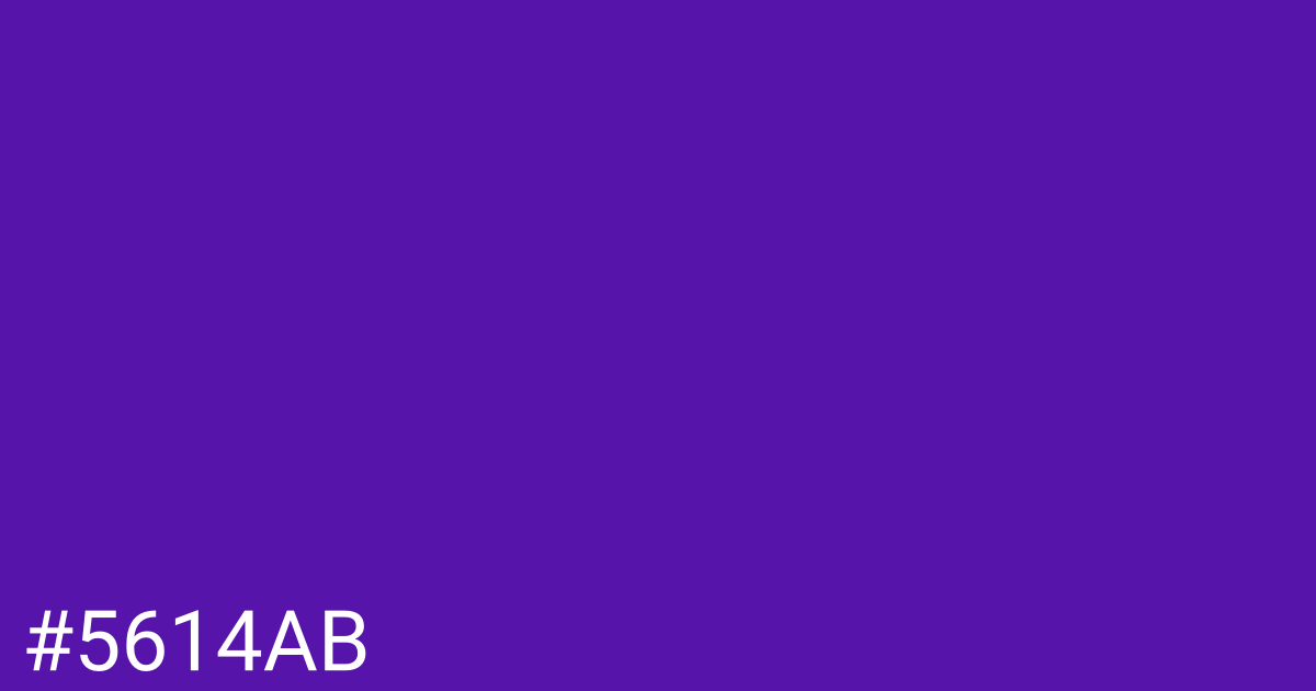 Hex color #5614ab graphic