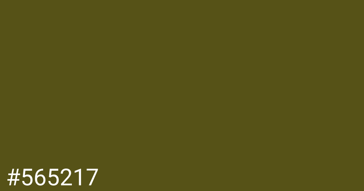 Hex color #565217 graphic