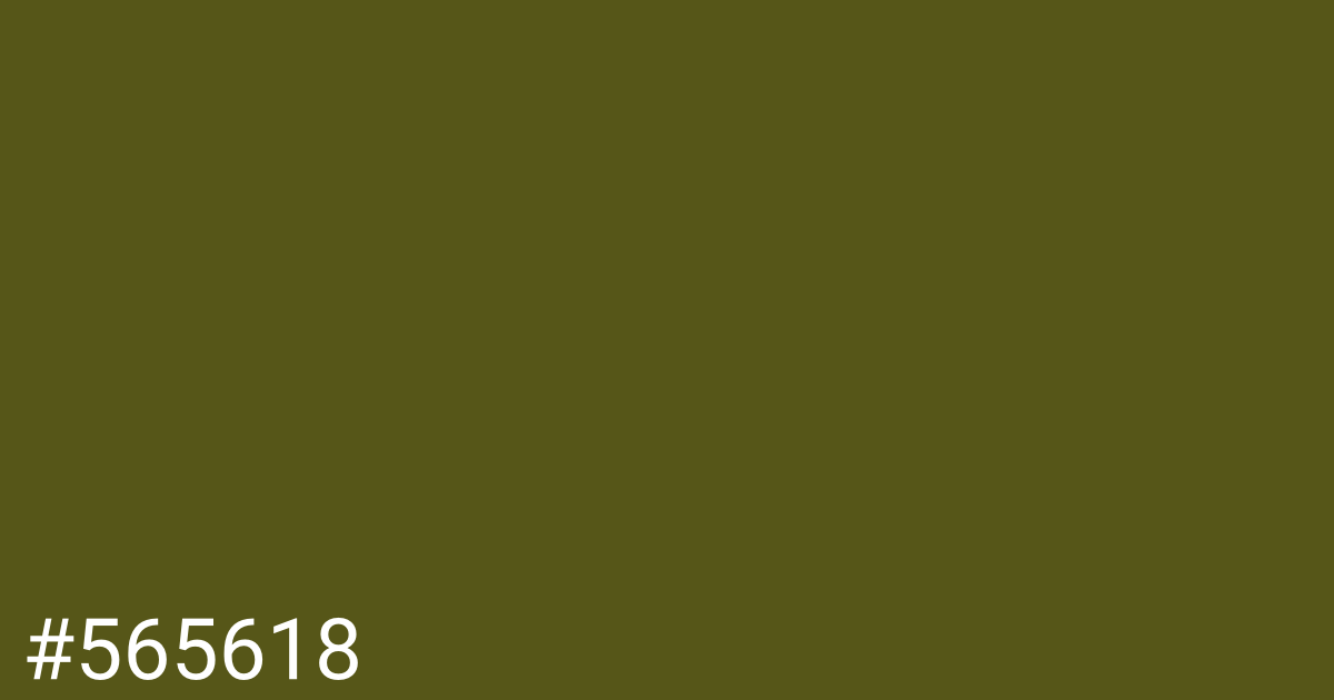 Hex color #565618 graphic