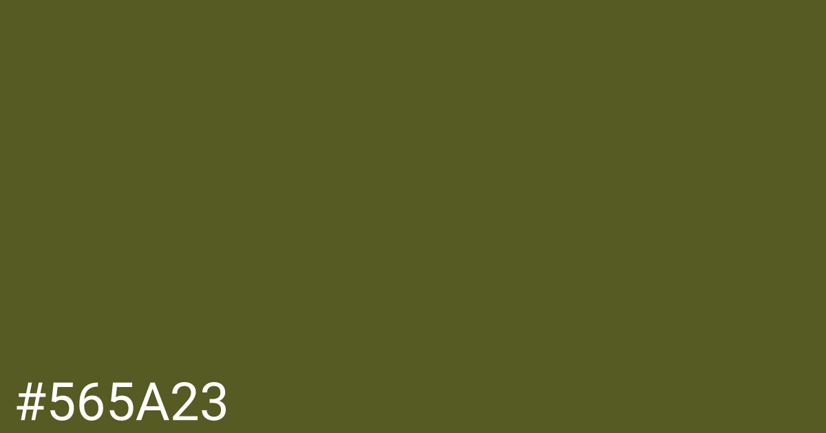 Hex color #565a23 graphic