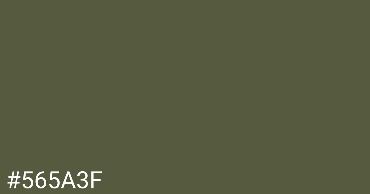 Hex color #565a3f graphic