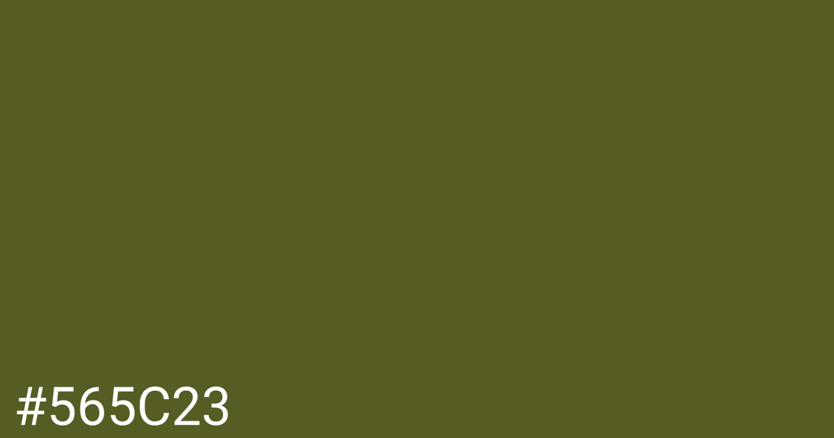 Hex color #565c23 graphic