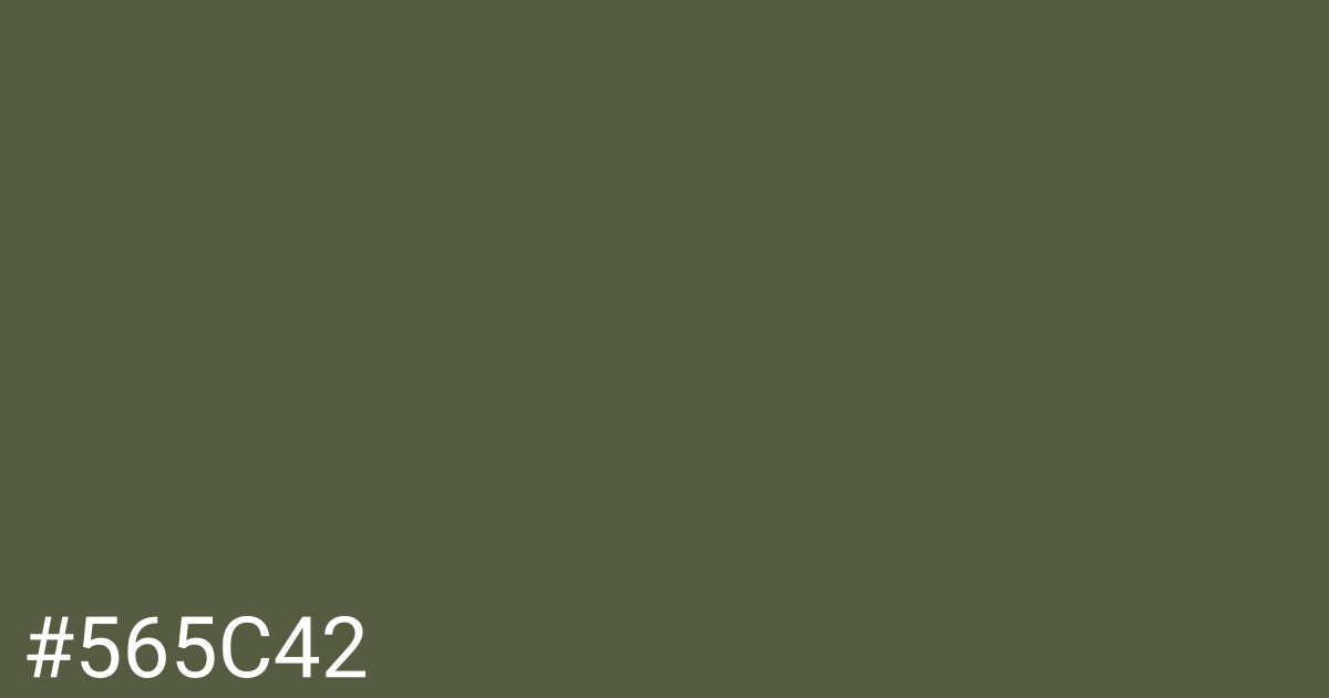 Hex color #565c42 graphic