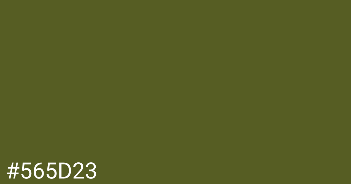 Hex color #565d23 graphic