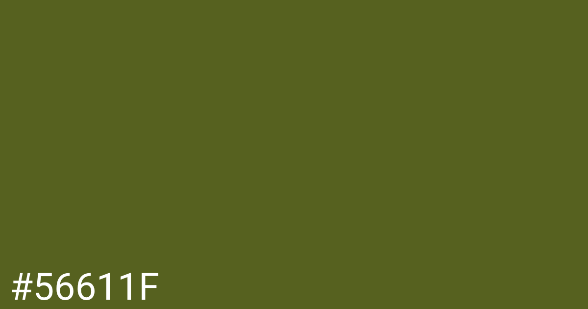 Hex color #56611f graphic