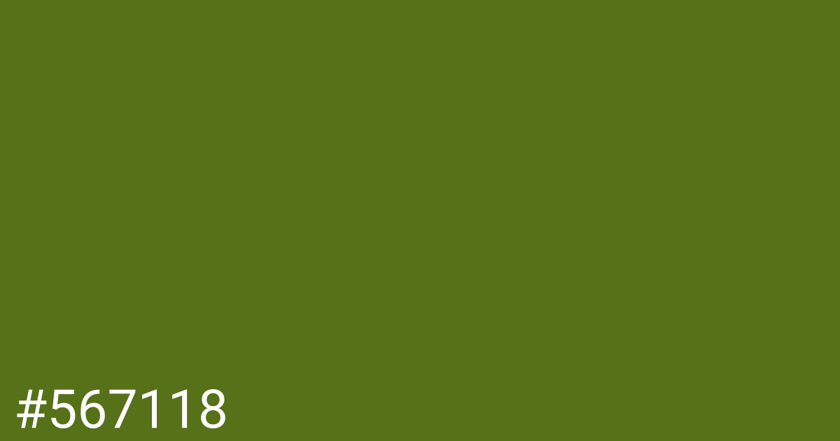 Hex color #567118 graphic