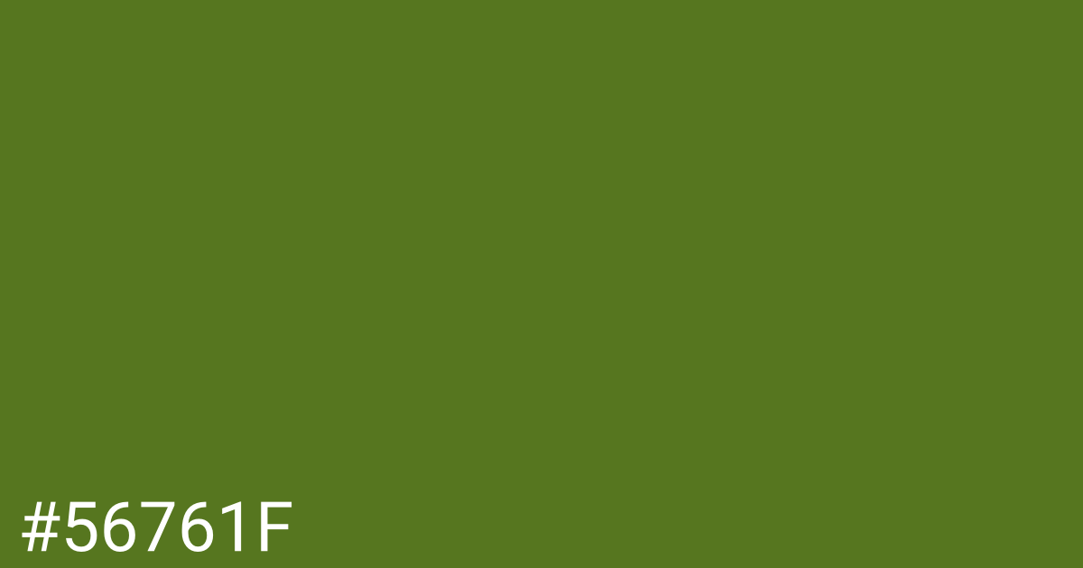 Hex color #56761f graphic
