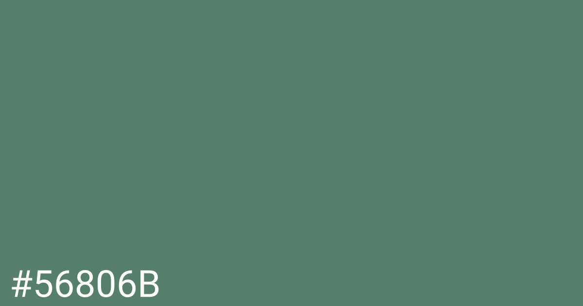 Hex color #56806b graphic