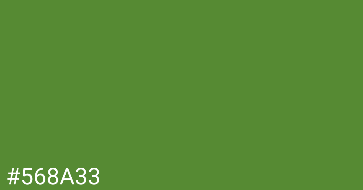 Hex color #568a33 graphic