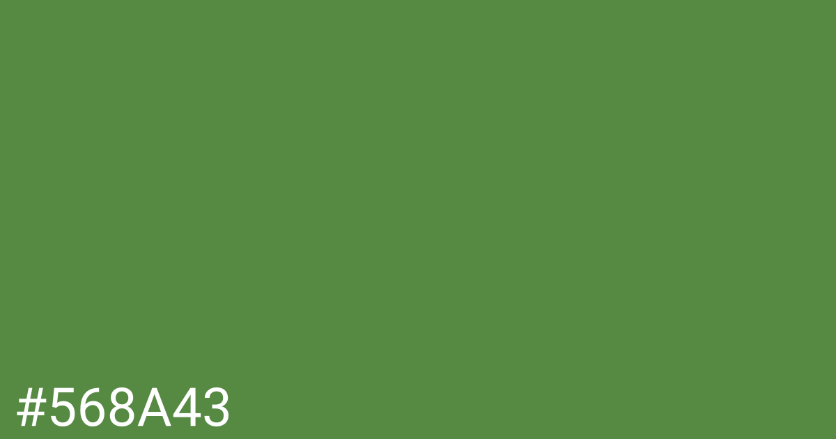 Hex color #568a43 graphic