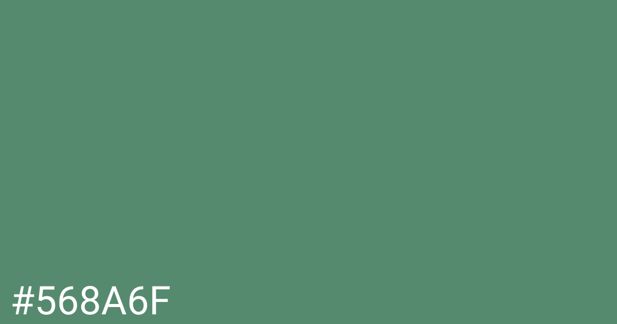 Hex color #568a6f graphic