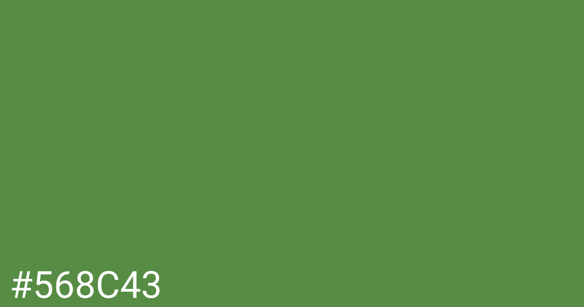 Hex color #568c43 graphic