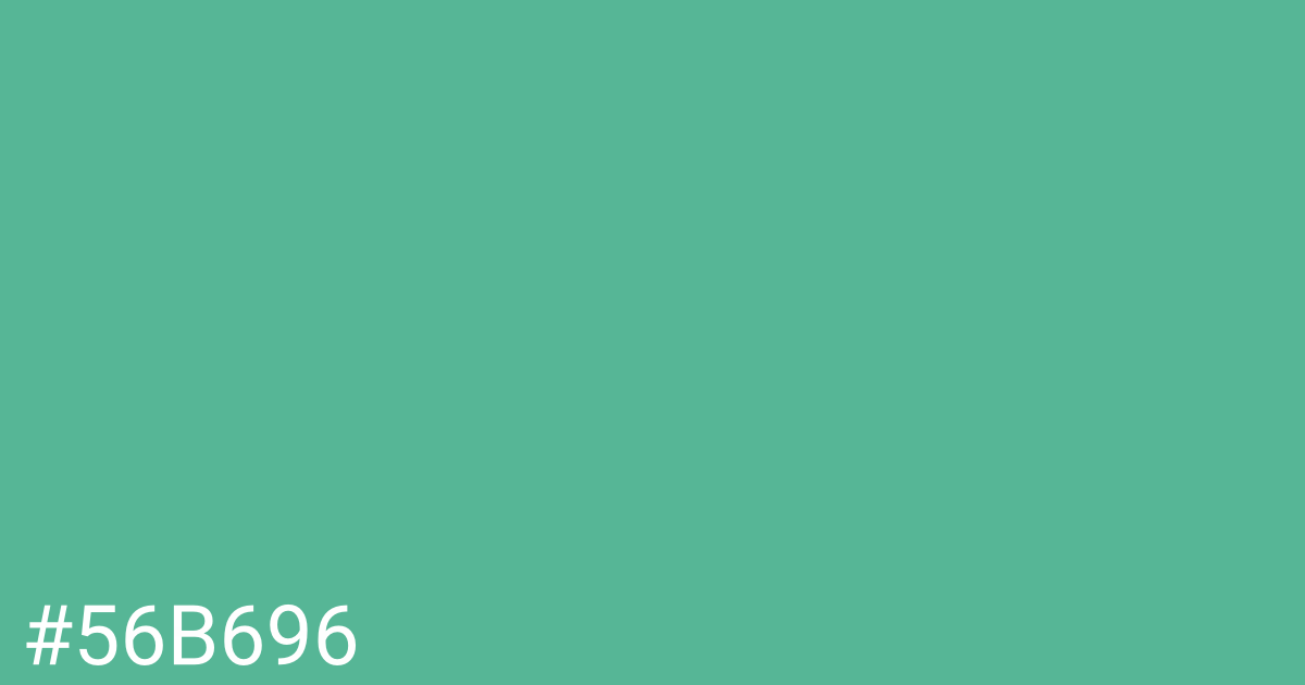 Hex color #56b696 graphic