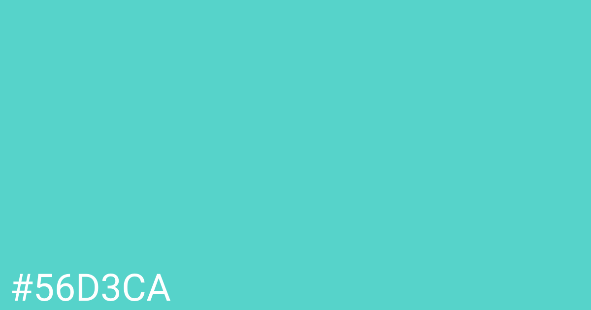 Hex color #56d3ca graphic