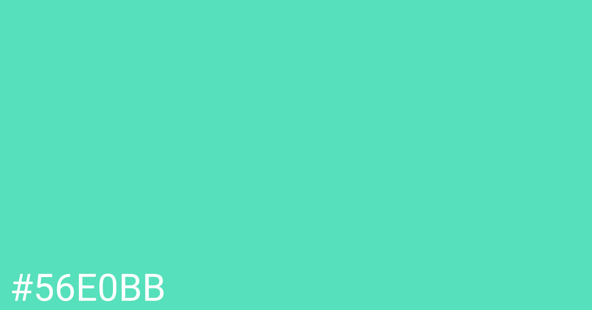 Hex color #56e0bb graphic