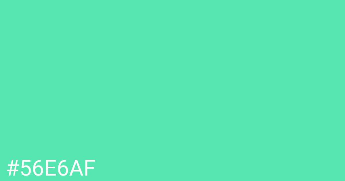 Hex color #56e6af graphic