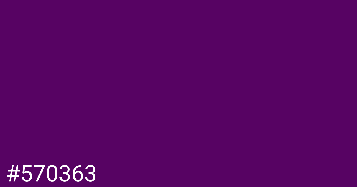 Hex color #570363 graphic