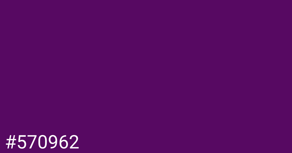 Hex color #570962 graphic