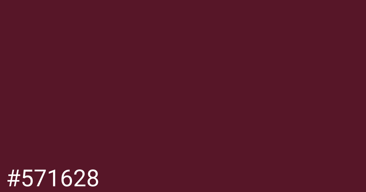 Hex color #571628 graphic