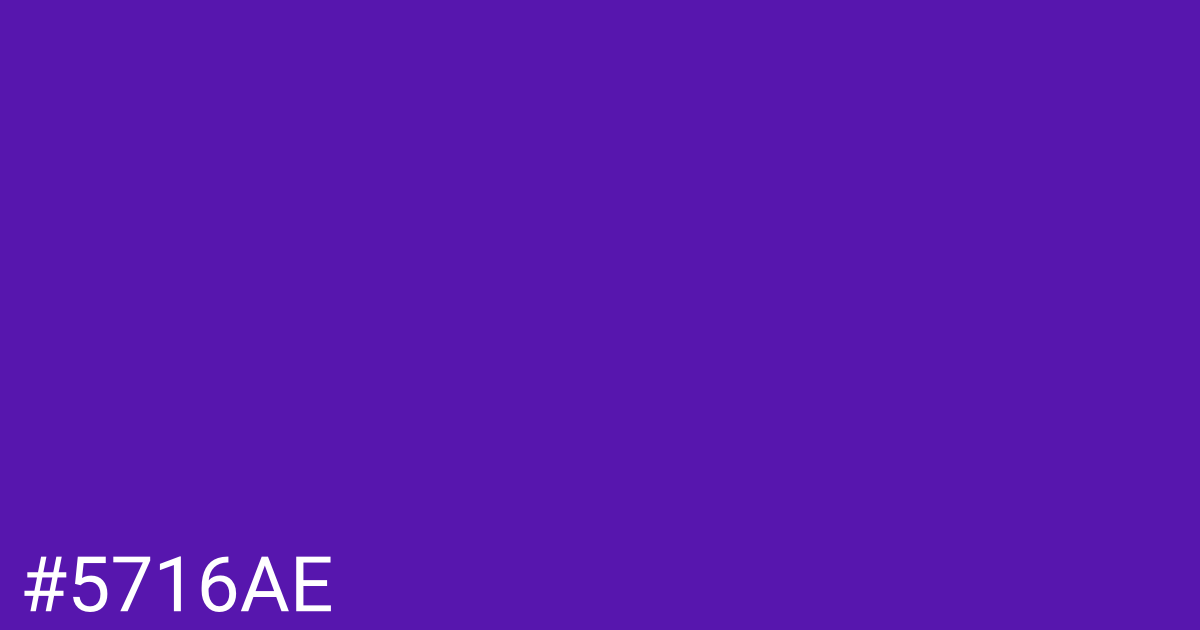 Hex color #5716ae graphic