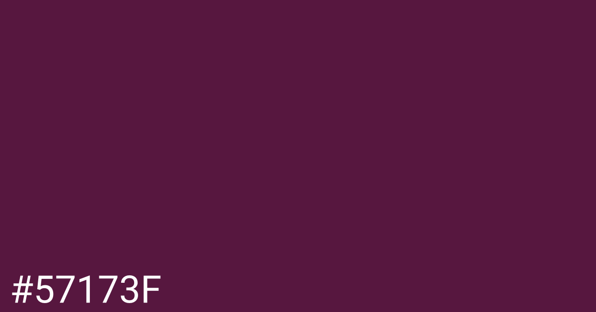 Hex color #57173f graphic