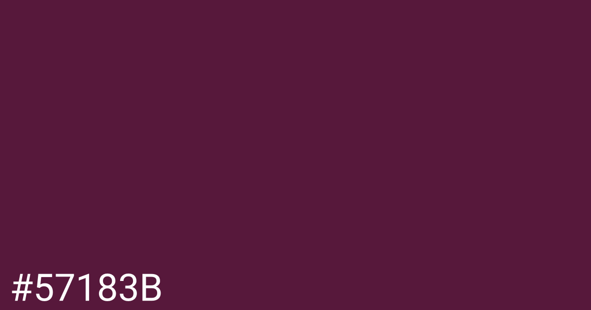 Hex color #57183b graphic