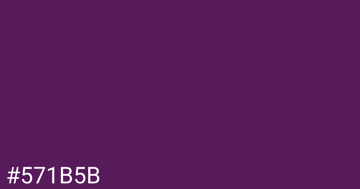 Hex color #571b5b graphic