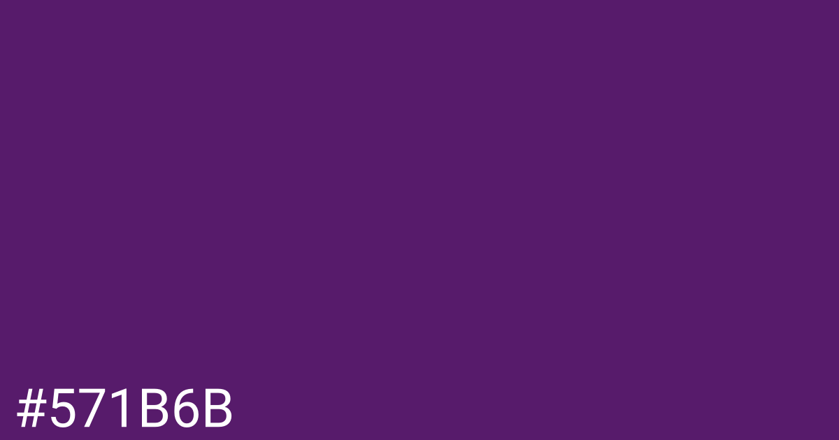 Hex color #571b6b graphic