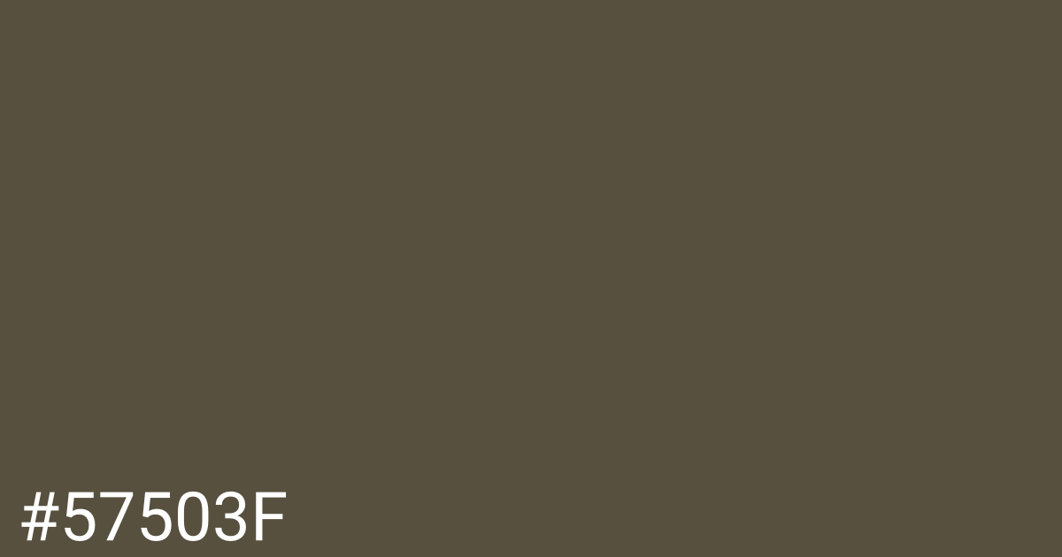 Hex color #57503f graphic