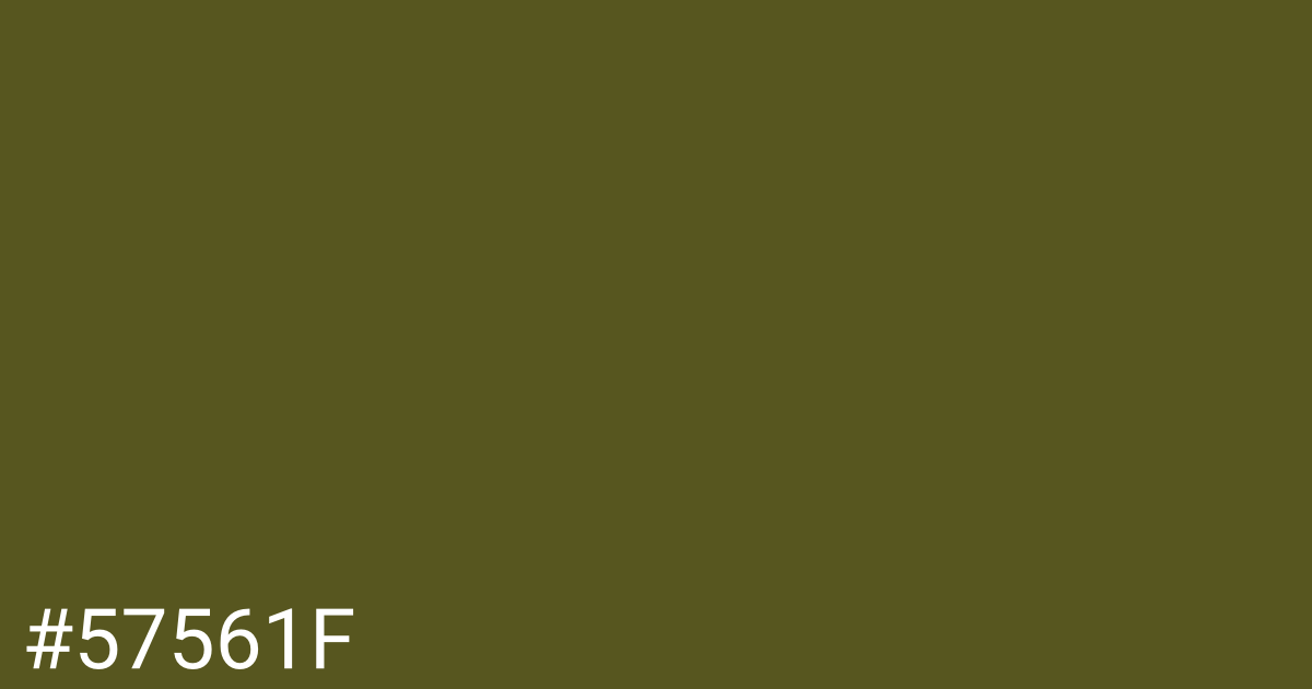 Hex color #57561f graphic