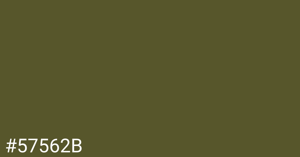 Hex color #57562b graphic