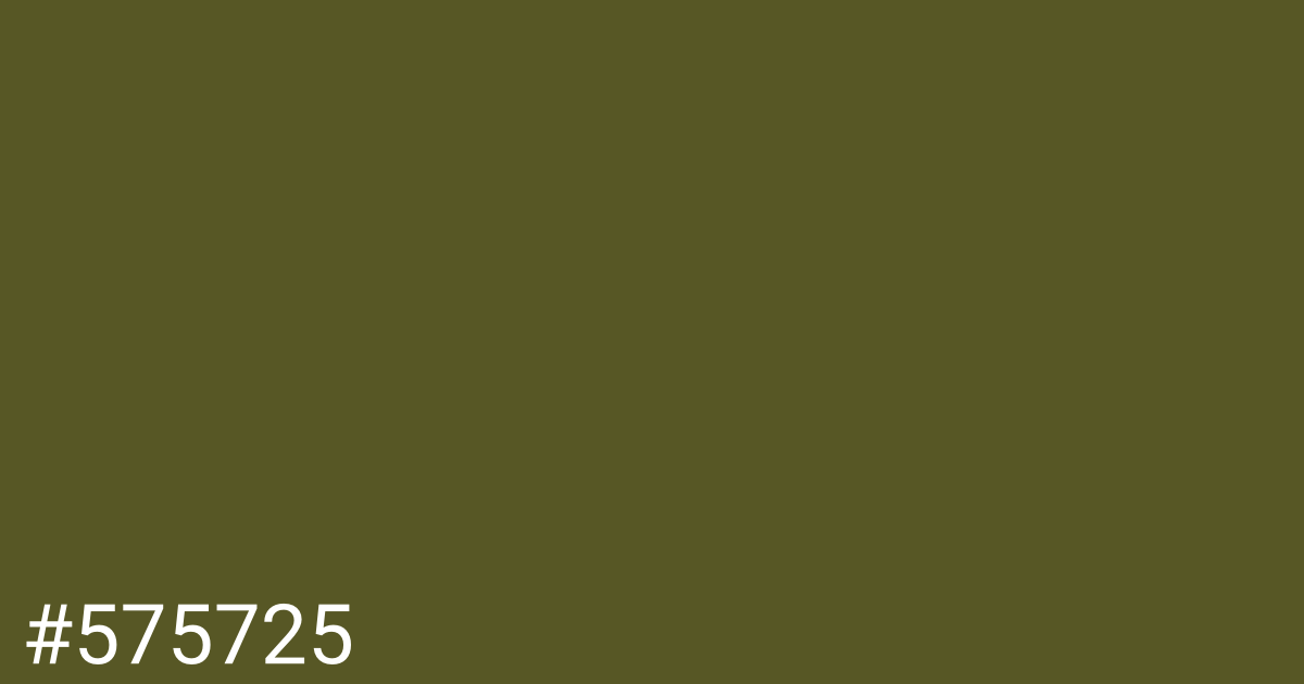 Hex color #575725 graphic