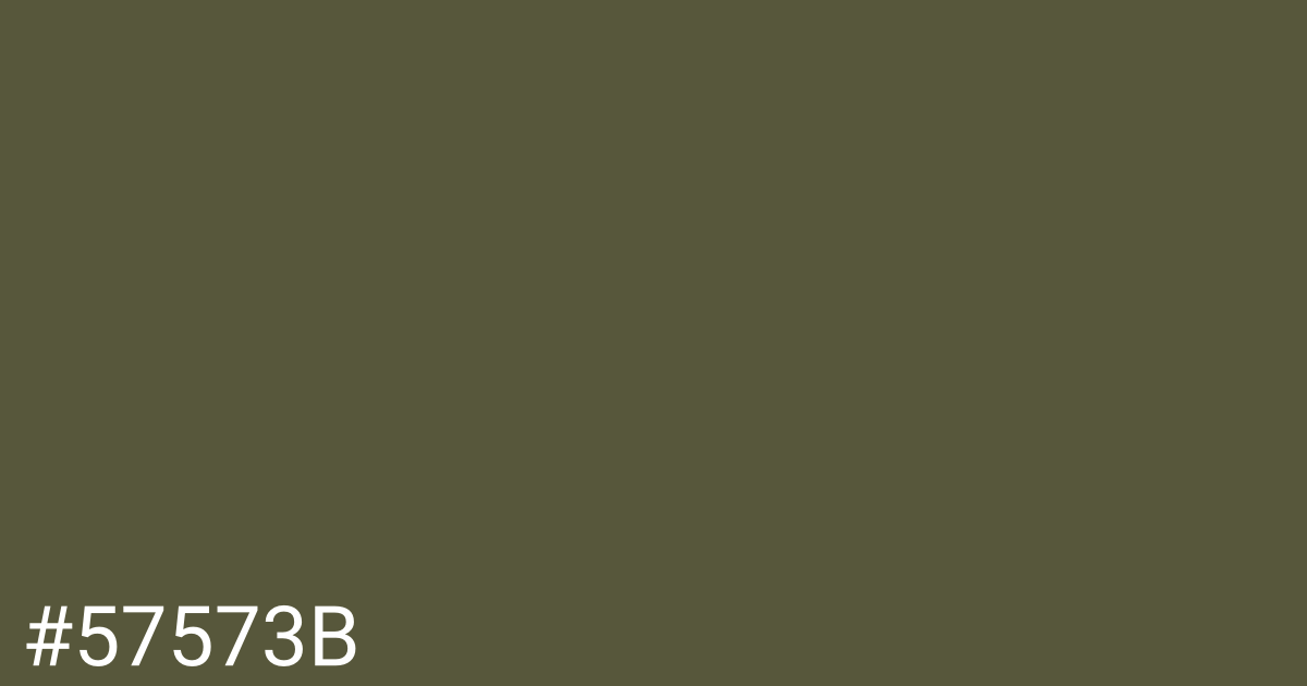 Hex color #57573b graphic