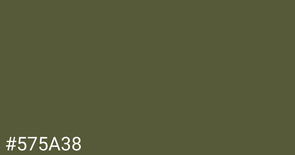 Hex color #575a38 graphic