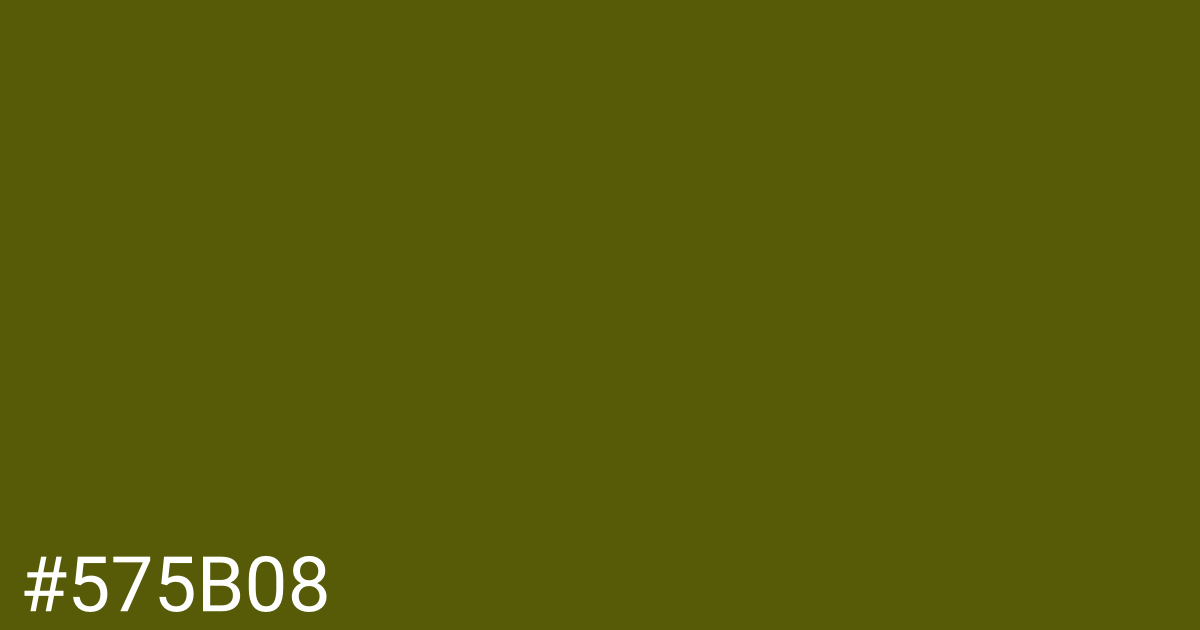 Hex color #575b08 graphic