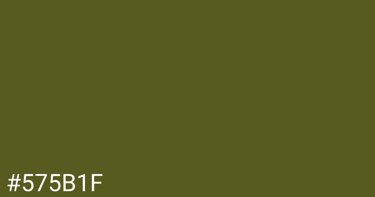 Hex color #575b1f graphic