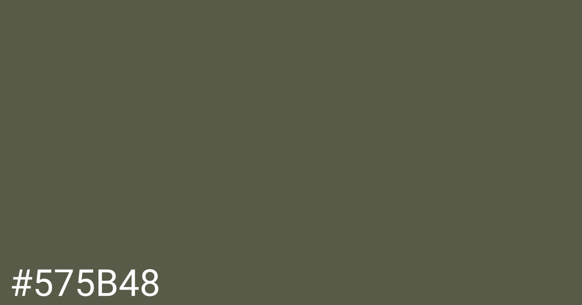 Hex color #575b48 graphic