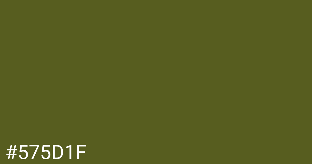 Hex color #575d1f graphic