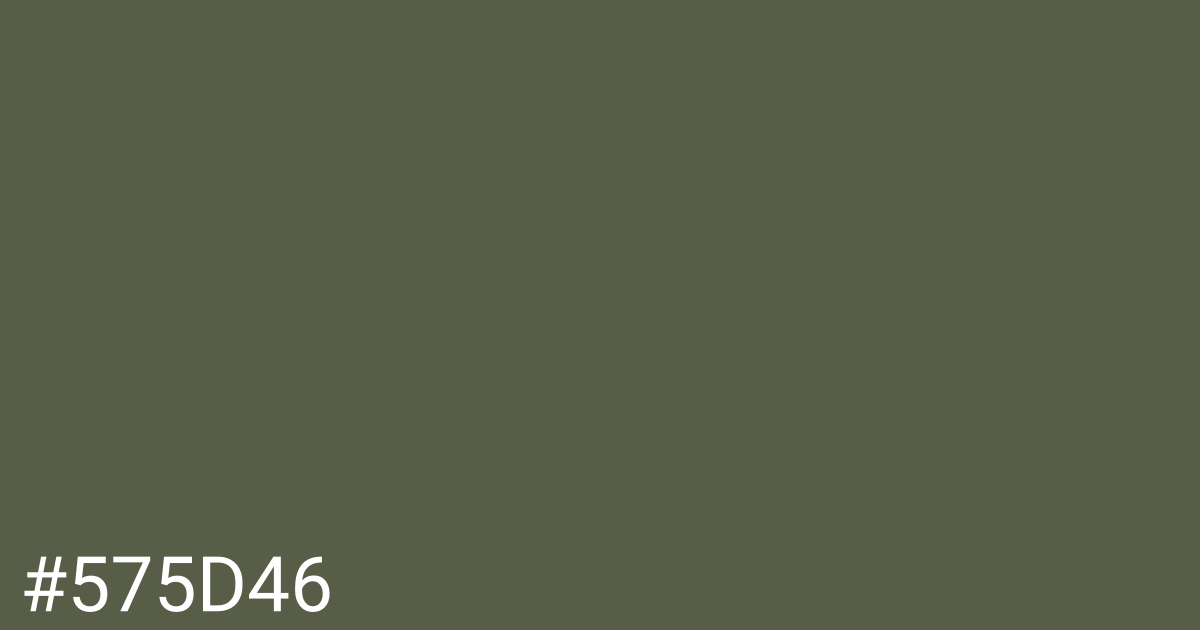 Hex color #575d46 graphic