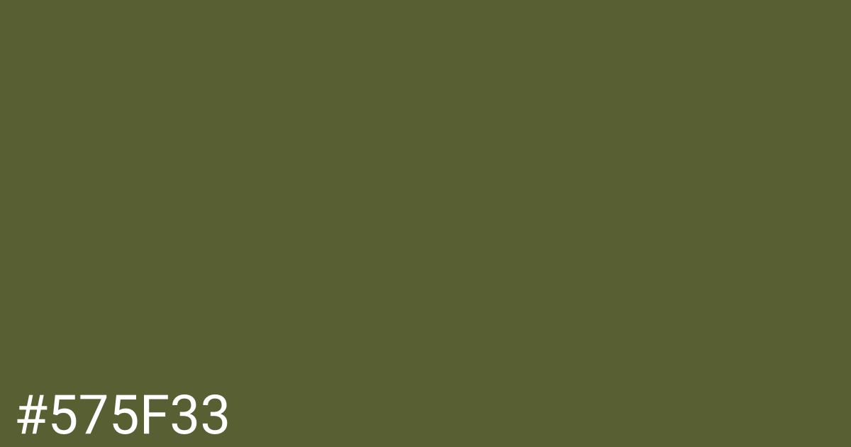 Hex color #575f33 graphic