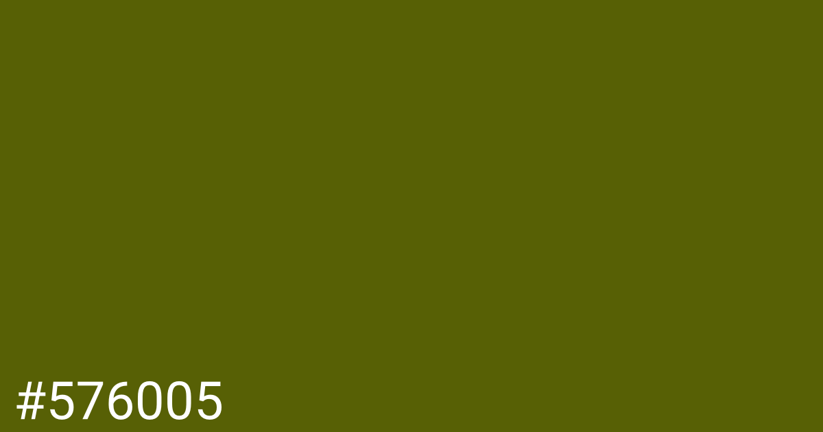 Hex color #576005 graphic